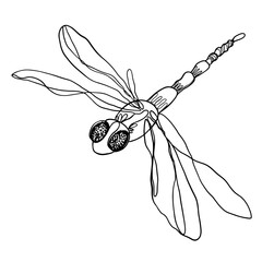 Dragonfly - oneline vector decorative dragonfly illustration in black and white. Design for a tatoo, fabric, textile, insect concept.