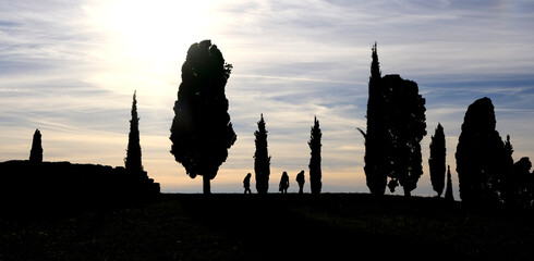 silhouettes and human shapes in backlight