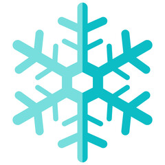 snowflake flat icon