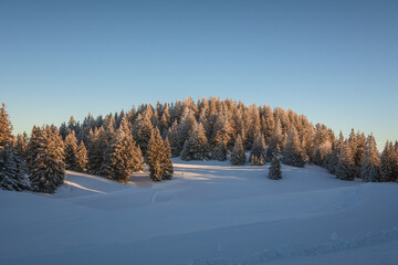 Fototapeta na wymiar Paysage d'hiver au Semnoz