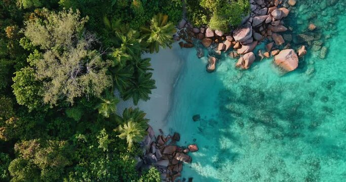 Straight down aerial circular view of Catamarans anchored at the magnificent Anse Lazio beach with it's azure coloured waters Praslin,Seychelles