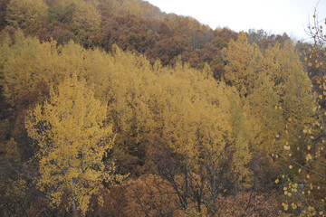 Autumn in Salordek, famous for its natural beauties in Dersim's Pulumur Valley, Tunceli, Turkey