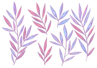 A set of abstract twigs. Pink-blue colors. Hand-drawn. Marker Art