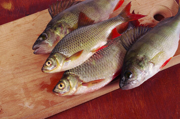 Rudd fish and perch on a cutting board.