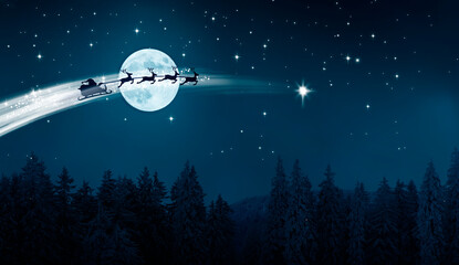 Obraz na płótnie Canvas Santa Claus im Schlitten über einer Schneelandschaft bei Nacht