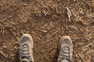 hikers shoes on ground. top view