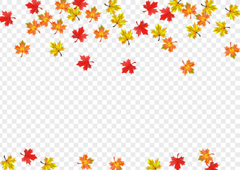 Golden Leaves Background Transparent Vector. Floral October Design. Autumnal Pattern Leaf. Design Plant Card.