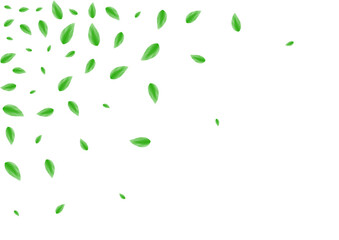 Greenish Vegetation Background White Vector. Leaves Figure Illustration. Life Card. Light Green Air Texture. Sheet Template.