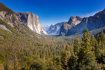 The Yosemite Valley with El Capitan in the Yosemite National Park, California