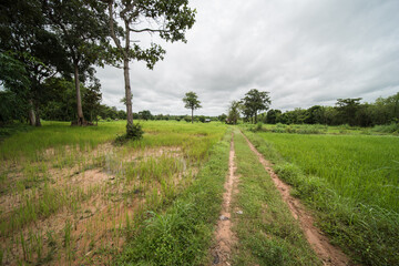 beautiful scenery in northeast thailand