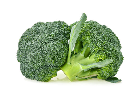 broccoli isolated on white background
