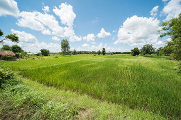 beautiful scenery in northeast thailand