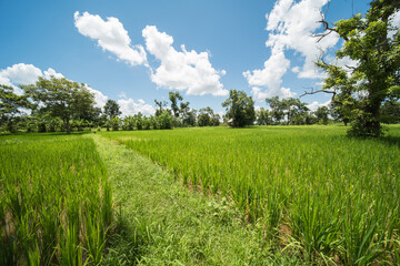 beautiful scenery in northeast thailand