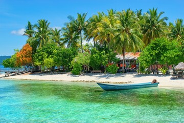 Beautiful summer scene on the beach with palm trees - Arborek Island, Raja Ampat, West Papua, Indonesia