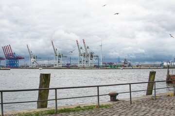 Harbour and seagulls