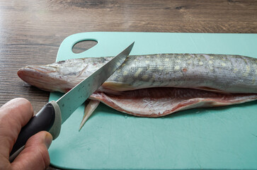 	
The cook cuts raw pike fish on a cutting board with a knife	

