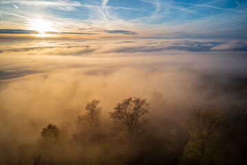 Fototapeta na wymiar bäume im nebel von oben