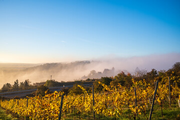 Obraz premium weinberge und neuleiningen im nebel