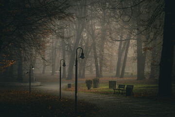 A dark park where there are no people and is empty, a strong vignette that adds charm to the photo - obrazy, fototapety, plakaty
