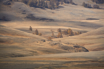 Autumn landscape with larches. Altai