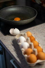 farm egg tray
