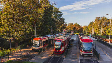 Trams at the tram terminus in Gdansk Jelitkowo, Poland. - obrazy, fototapety, plakaty