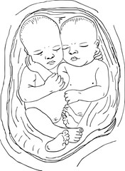 Cute newborn twins babies sleeping vector and illustration; sketch drawing of a newborn sleeping baby girl and boy in a swaddle; clip art and symbol of newborn twin babies 