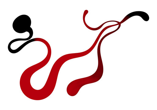 Coccidiosis in Chickens Illustrations, &ldquo;Line Art Snake style&rdquo; designs for product promotion, brochure, flyer, seminar poster, presentation ppt template. Concept poultry health images 