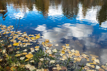 Reflection in the water of a beautiful blue sky with clouds and autumn trees