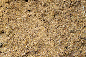 Sand texture on the beach top view