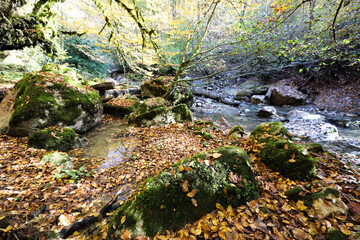 Beautiful autumn landscape with rainforest and mountain stream. Fagua falls. Sochi, Russia.