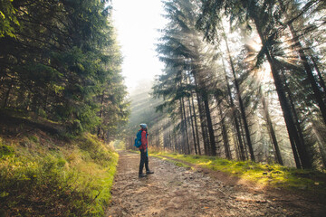 Hiker with a blue backpack walks in a forest environment. Through the trees and fog the morning sun streams through, illuminating the wildlife. Beskydy mountains, Czech republic