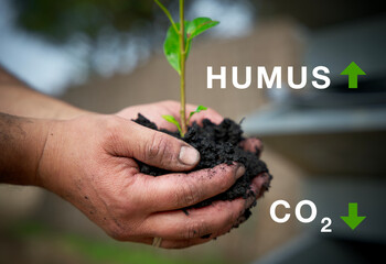 By building up fertile humus in the soil, we reduce CO2. Symbolizes a green planet with a hand of fertile soil with a tree in it.