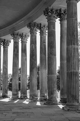 columns in black and white