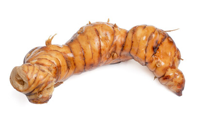 Fresh galangal (Alpinia galanga) rhizomes on white background.