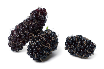 Fresh organic black mulberry fruits on white background.