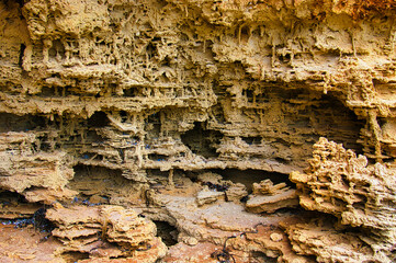 Erosion patterns in sandstone, like a mysterious fantasy city in a science fiction movie. Avoid Bay, Eyre Peninsula, South Australia, Coffin Bay National Park
