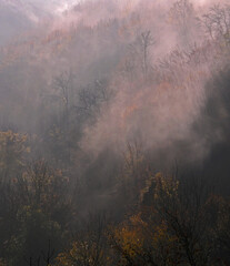 Woods on nthe Hill in Autumn