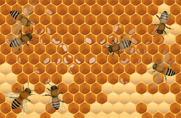 Close up view of the working bees on honey cells vector illustration