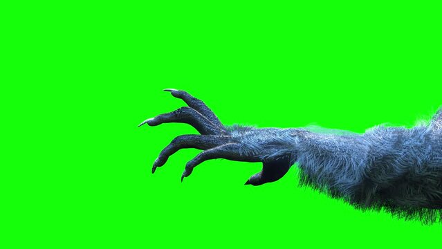scary monster hand, furry werewolf paw for halloween background render 3d on green background