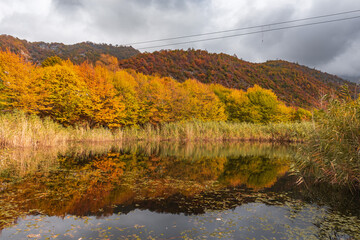 Small pond in autumn season