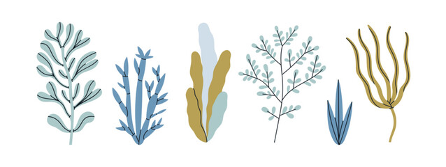Set with exotic plants and corals. Underwater and sea life concept. Hand draw vector illustration isolated on white background. Cute design in pastel colors. For prints, typographic and web design.