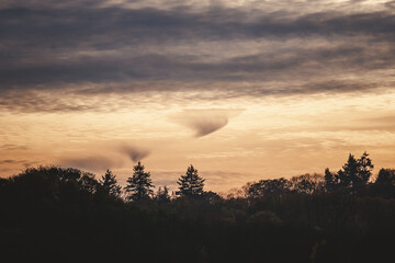 Interessante Wolken über Nadelwald im Sonnenuntergang