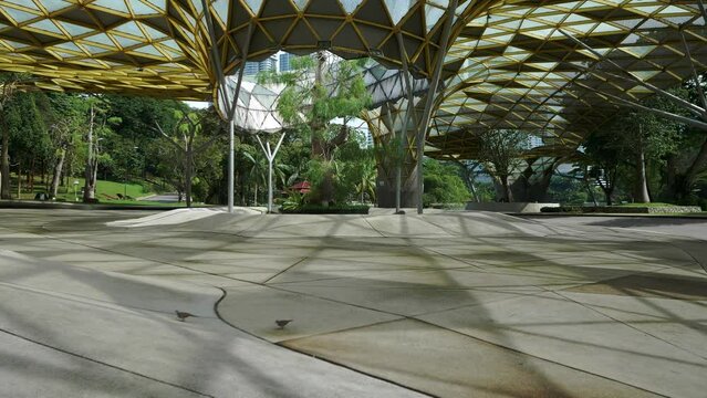 Art construction of stained glass sunshade city park decoration with holes for trees