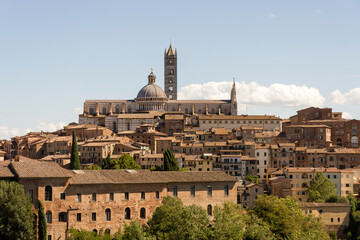 Italien - Siena - obrazy, fototapety, plakaty