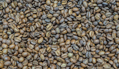 coffee bean background with nature light