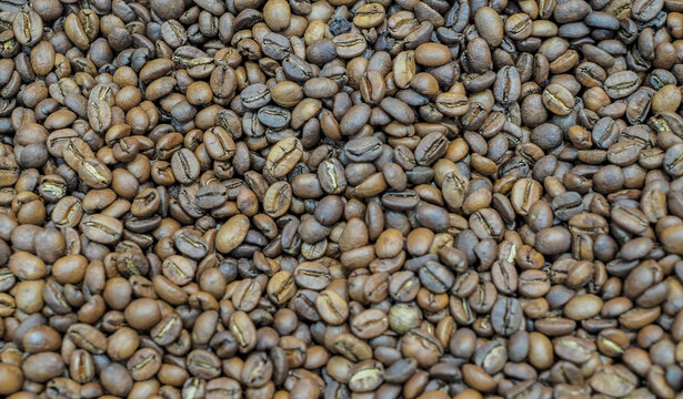 coffee bean background with nature light