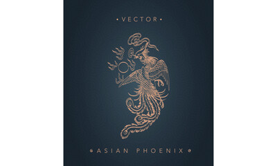 Asian traditional phoenix pattern ancient Chinese phoenix