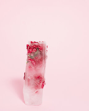Frozen red flower on bright pastel pink background with copy space. Cold winter season concept. Creative ice blossom frost. Minimal nature Christmas winter freeze.