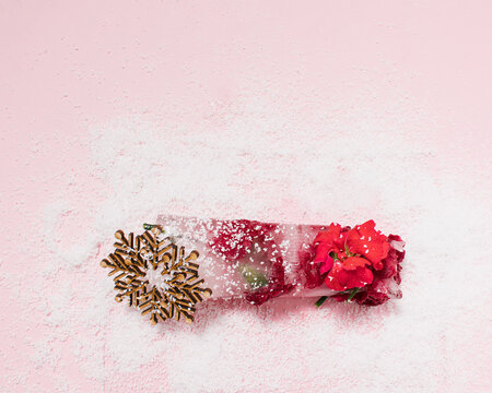 Frozen red flower on bright pastel pink background decorated with snowflake. Cold winter season concept with copy space. Creative ice blossom frost. Minimal nature Christmas winter snowy freeze.